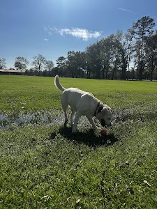 Safepaws place picture